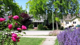 Garden, Tree, Flowers, Plants, Flower, Architecture