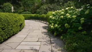 Garden, Tree, Landscape, Plant, Path, Maze