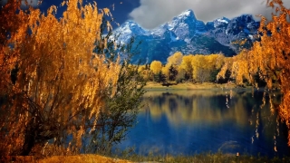 Glacier, Mountain, Landscape, Lake, Snow, Mountains