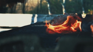 Goldfish, Fire, Flame, Heat, Barbecue, Burn