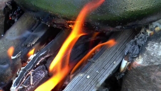 Goldfish, Heat, Flame, Fire, Hot, Burn