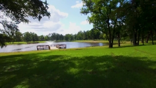 Grass, Course, Golf, Tree, Landscape, Field