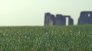 Grass, Field, Meadow, Lawn, Summer, Rural