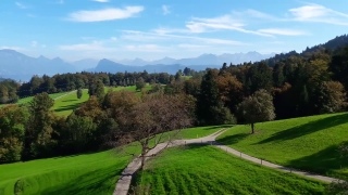 Grass, Landscape, Course, Tree, Golf, Highland