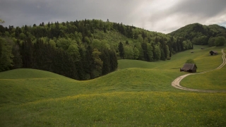 Grass, Landscape, Highland, Field, Meadow, Tree