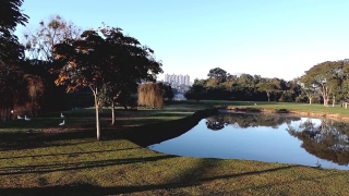 Grass, Landscape, Tree, Golf, Trees, Course