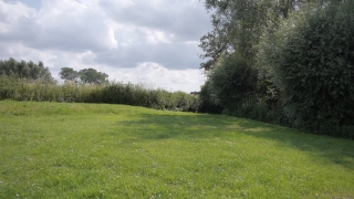 Grass, Rough, Landscape, Field, Tree, Sky