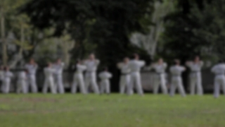 Grass, Tree, Wicket, Cricket Equipment, Golf, Sports Equipment