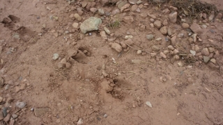 Ground, Sand, Stone, Texture, Surface, Soil