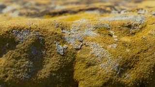 Grunge, Texture, Old, Rough, Dirty, Wall