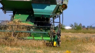 Harvester, Farm Machine, Machine, Device, Industry, Thresher
