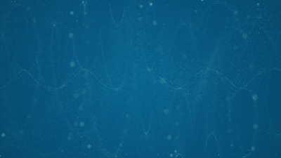 Marine, Sea, Ocean, Underwater, Fish, Reef