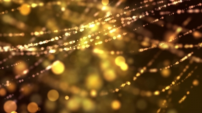 Spider Web, Web, Cobweb, Star, Trap, Night