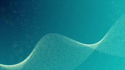 Jellyfish, Invertebrate, Ray, Light, Electric Ray, Wallpaper