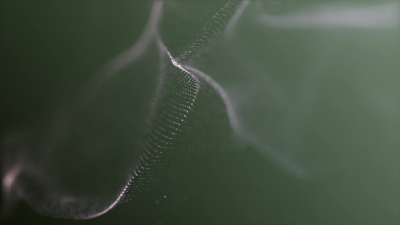Spider Web, Web, Trap, Cobweb, Insect, Spider