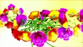 Tulip, Flower, Pink, Lilac, Colorful, Spring