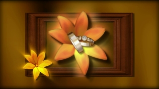 Flower, Pinwheel, Petal, Wheel, Spa, Island