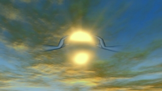 Sun, Sky, Water Snake, Clouds, Sunset, Sea