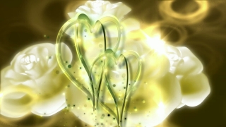 Glass, Wineglass, Drink, Vase, Celebration, Plant