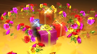 Pink, Tulip, Decoration, Art, Confetti, Flower