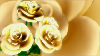 Rose, Flower, Roses, Wedding, Valentine, Petal