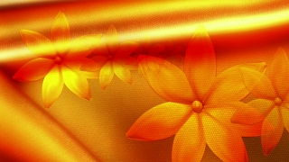 Yellow, Design, Color, Petal, Light, Orange