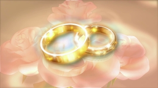 Bride, Glass, Bangle, Gem, Gold, Ring