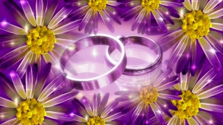 Lilac, Design, Flower, Pattern, Texture, Backdrop