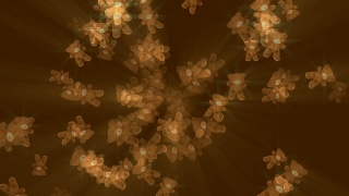 Chandelier, Lighting Fixture, Fixture, Design, Pattern, Wallpaper