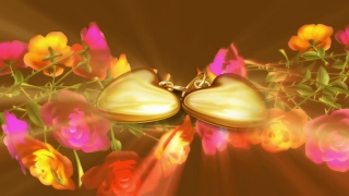 Candle, Source Of Illumination, Flower, Flowers, Pink, Spa
