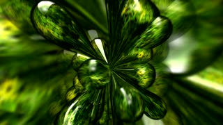 Vascular Plant, Plant, Herb, Agave, Desert Plant, Leaf