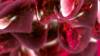 Raspberry, Berry, Edible Fruit, Fruit, Drupe, Fresh
