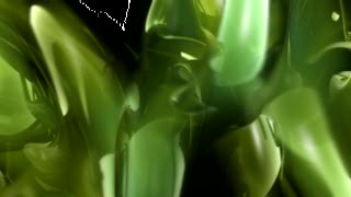 Agave, Desert Plant, Vegetable, Plant, Vascular Plant, Fresh