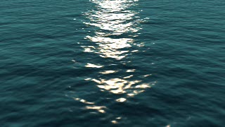 Ocean, Sea, Baleen Whale, Whale, Water, Body Of Water