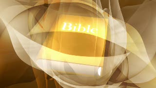 Mosquito Net, Protective Covering, Covering, Digital, Technology, Light