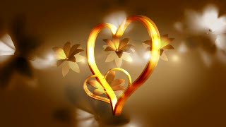 Light, Torch, Yellow, Source Of Illumination, Sconce, Bulbous Plant