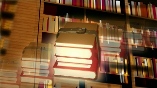 Shelf, Library, Interior, Furniture, Building, House