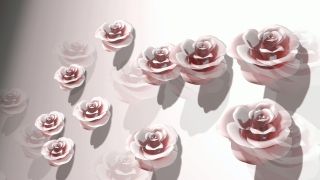 Confetti, Pink, Paper, Flower, Bride, Decoration