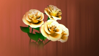 Lily, Flower, Rose, Roses, Food, Wedding