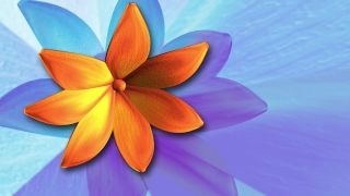 Island, Flower, Shrub, Flowers, Floral, Yellow