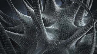 Net, Pattern, Texture, Design, Plant, Tree