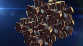 Cone, Brown, Spice, Seed, Food, Close