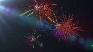 Firework, Explosive, Fireworks, Night, Festival, Celebration