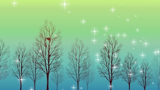 Fir, Plant, Tree, Design, Season, Silhouette