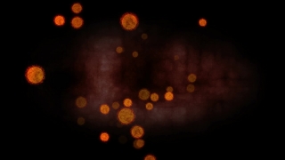 Jellyfish, Light, Invertebrate, Night, Space, Bright