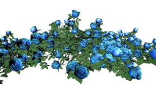 Blueberry, Planet, Globe, Earth, World, Sphere