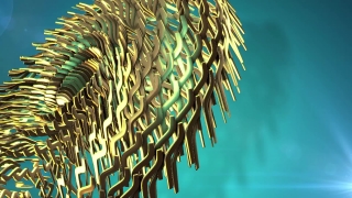 Feather Star, Echinoderm, Invertebrate, Fish, Tropical, Sea