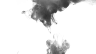 Animal, Smoke, Arthropod, Breeze, Invertebrate, Art