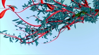 Tree, Woody Plant, Branch, Plant, Art, Design