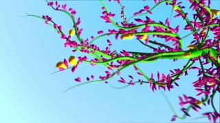 Pink, Flower, Plant, Tree, Branch, Floral